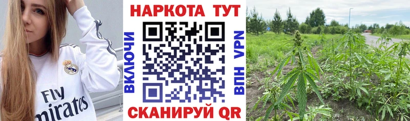 Где можно купить наркотики Вяземский Псилоцибиновые грибы  Марихуана  МЕФ  Гашиш 