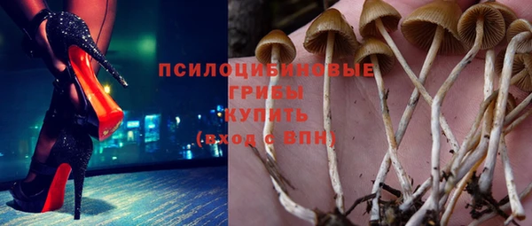 ПСИЛОЦИБИНОВЫЕ ГРИБЫ Балахна