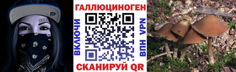 Галлюциногенные грибы Psilocybe  Вяземский 